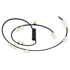 Unique Black Swirl Chandelier by Saumil Suchak