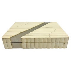Unique Box with Large Pieces of Bone and Stainless Steel Band 1970s