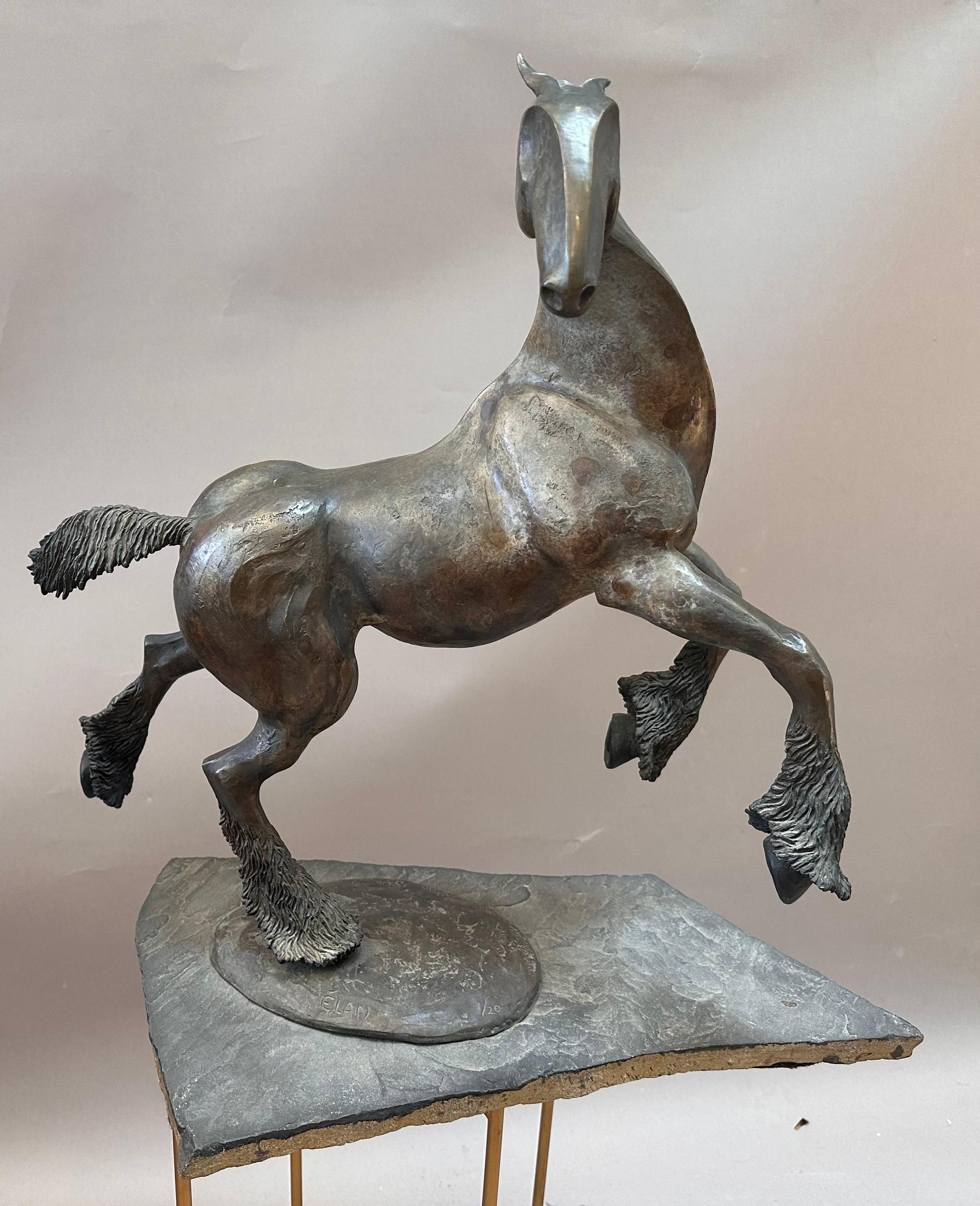 20th Century Unique Bronze Horse Sculpture by Tahna cast 1999 Titled “Elan” For Sale