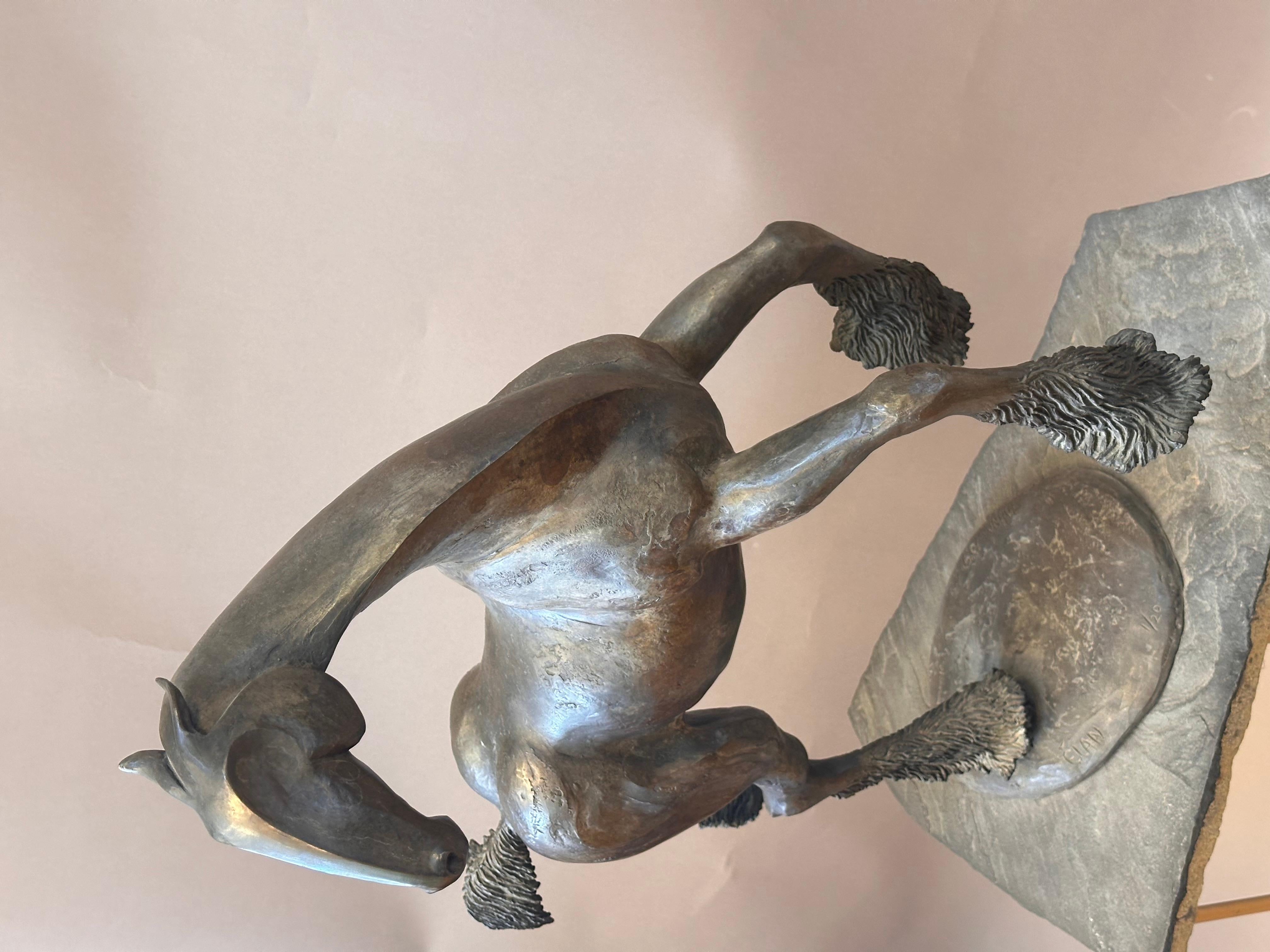 Unique Bronze Horse Sculpture by Tahna cast 1999 Titled “Elan” For Sale 2