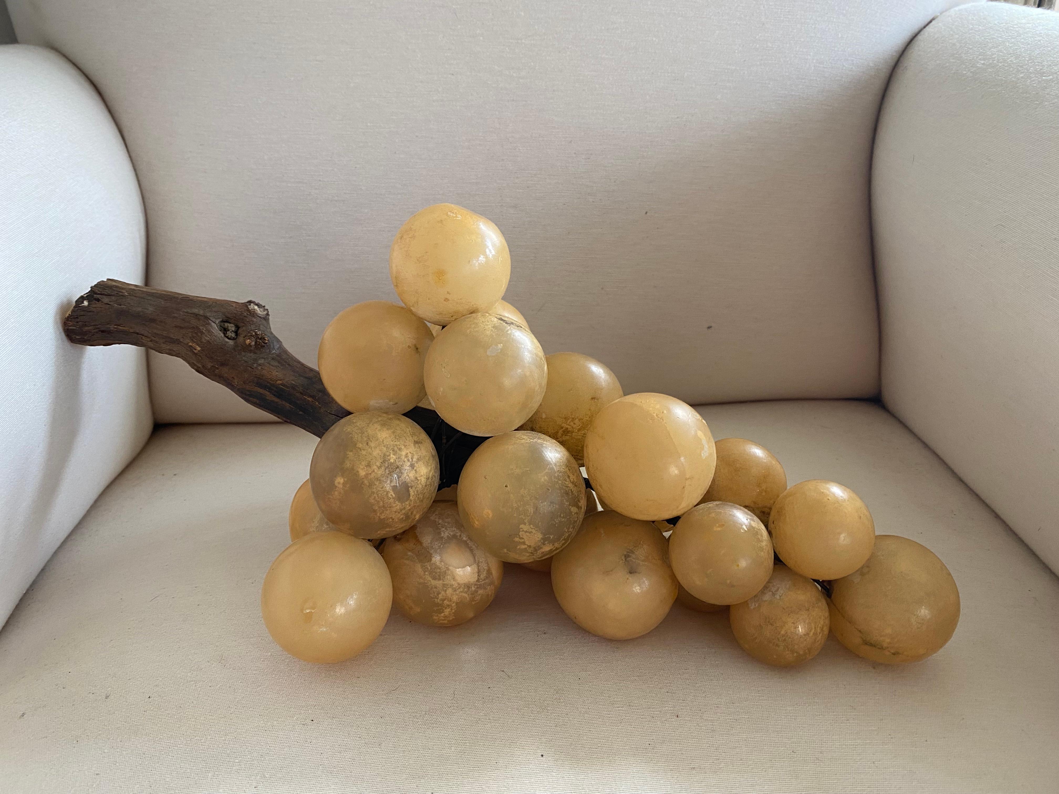 Italian Unique Bunch of Alabaster Grapes For Sale