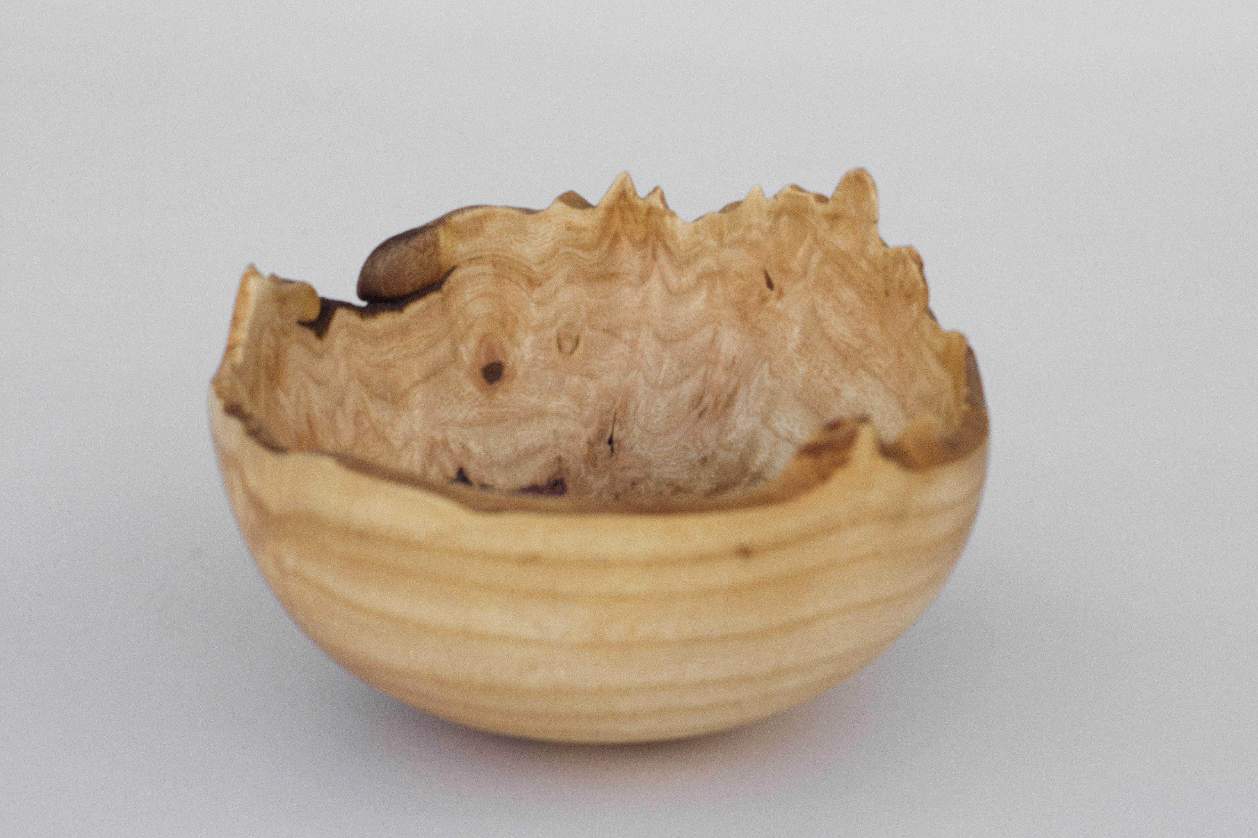 Unique Burl Bowl by Vlad Droz In New Condition In Geneve, CH