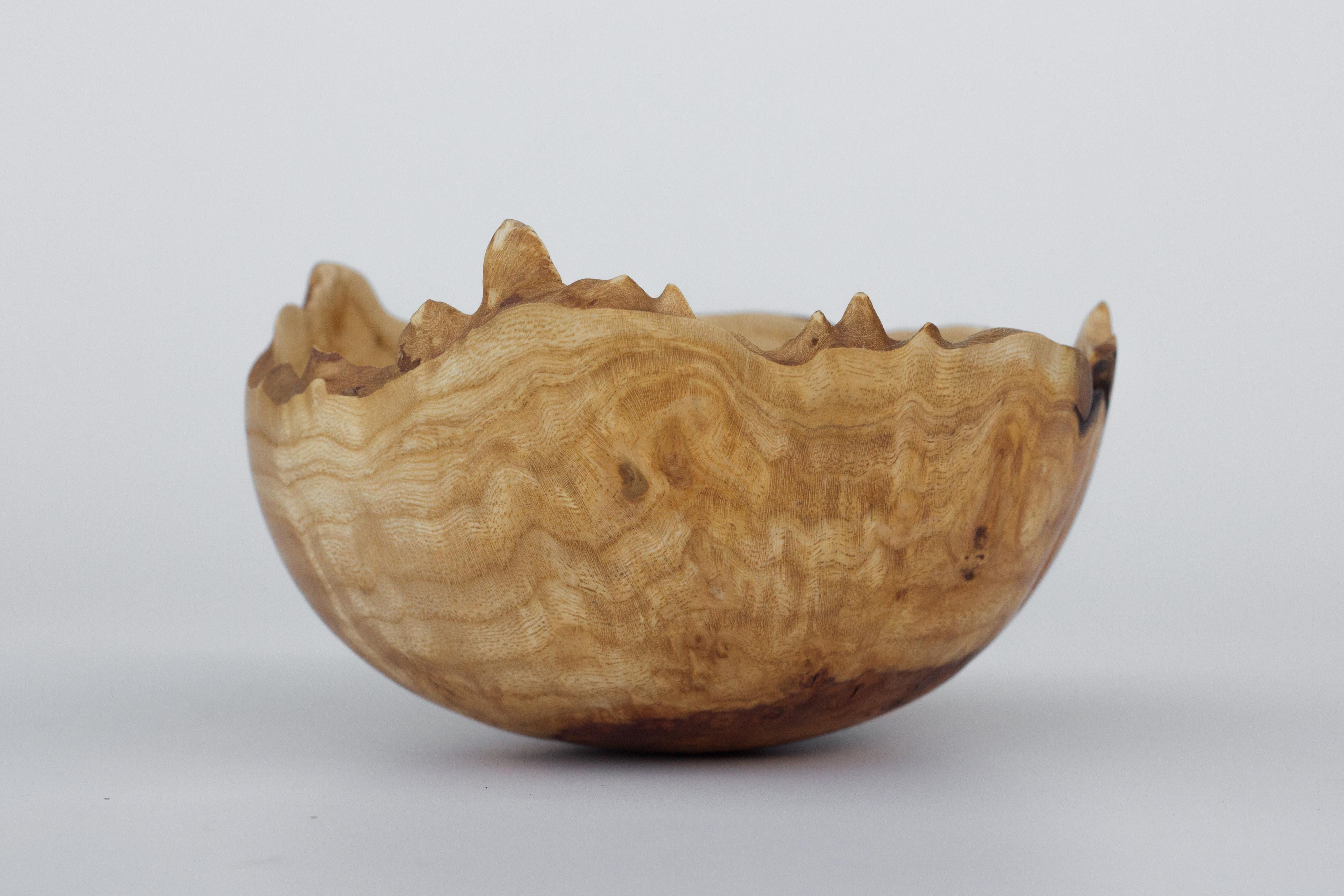 Contemporary Unique Burl Bowl by Vlad Droz