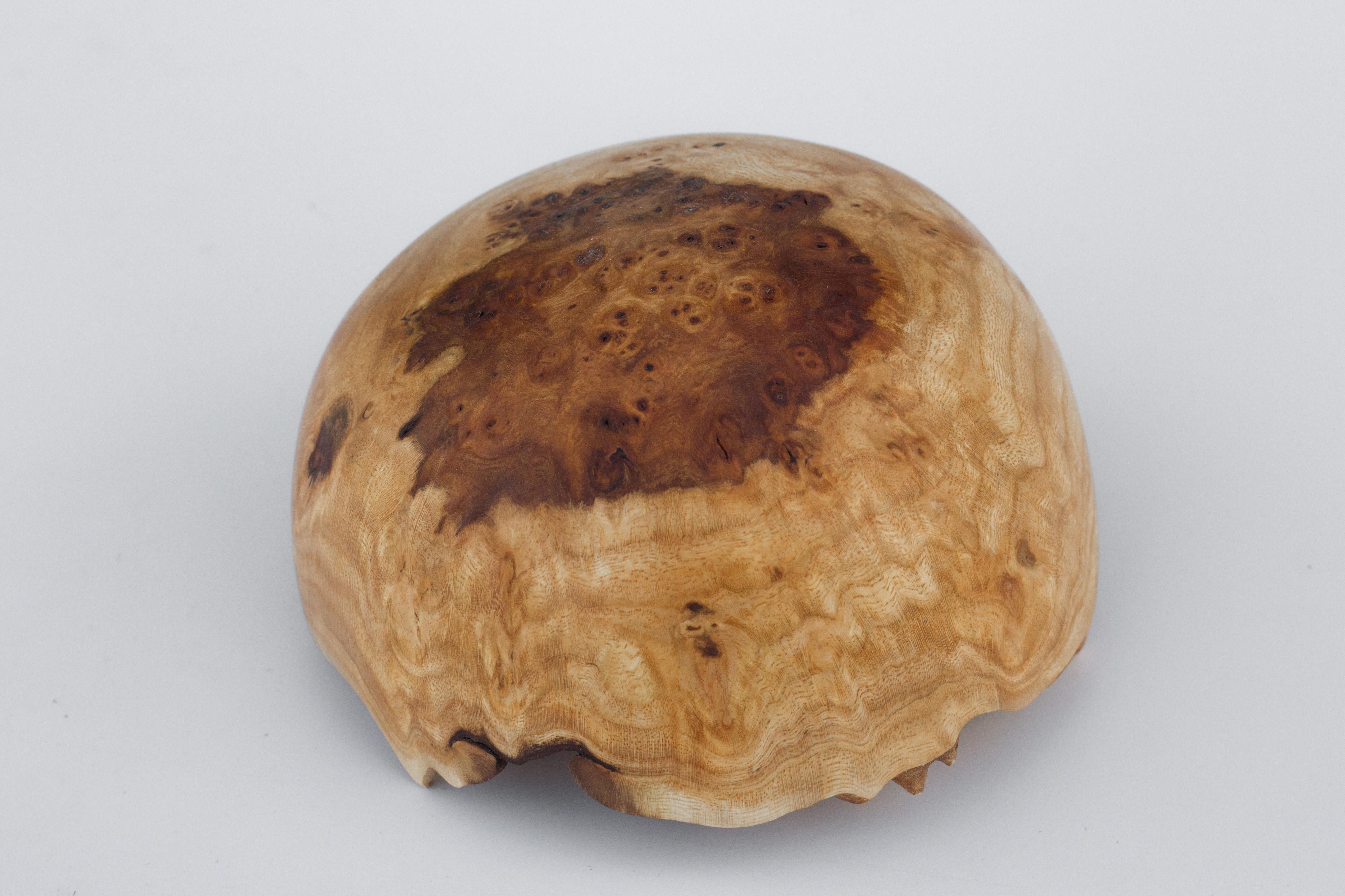 Birch Unique Burl Bowl by Vlad Droz