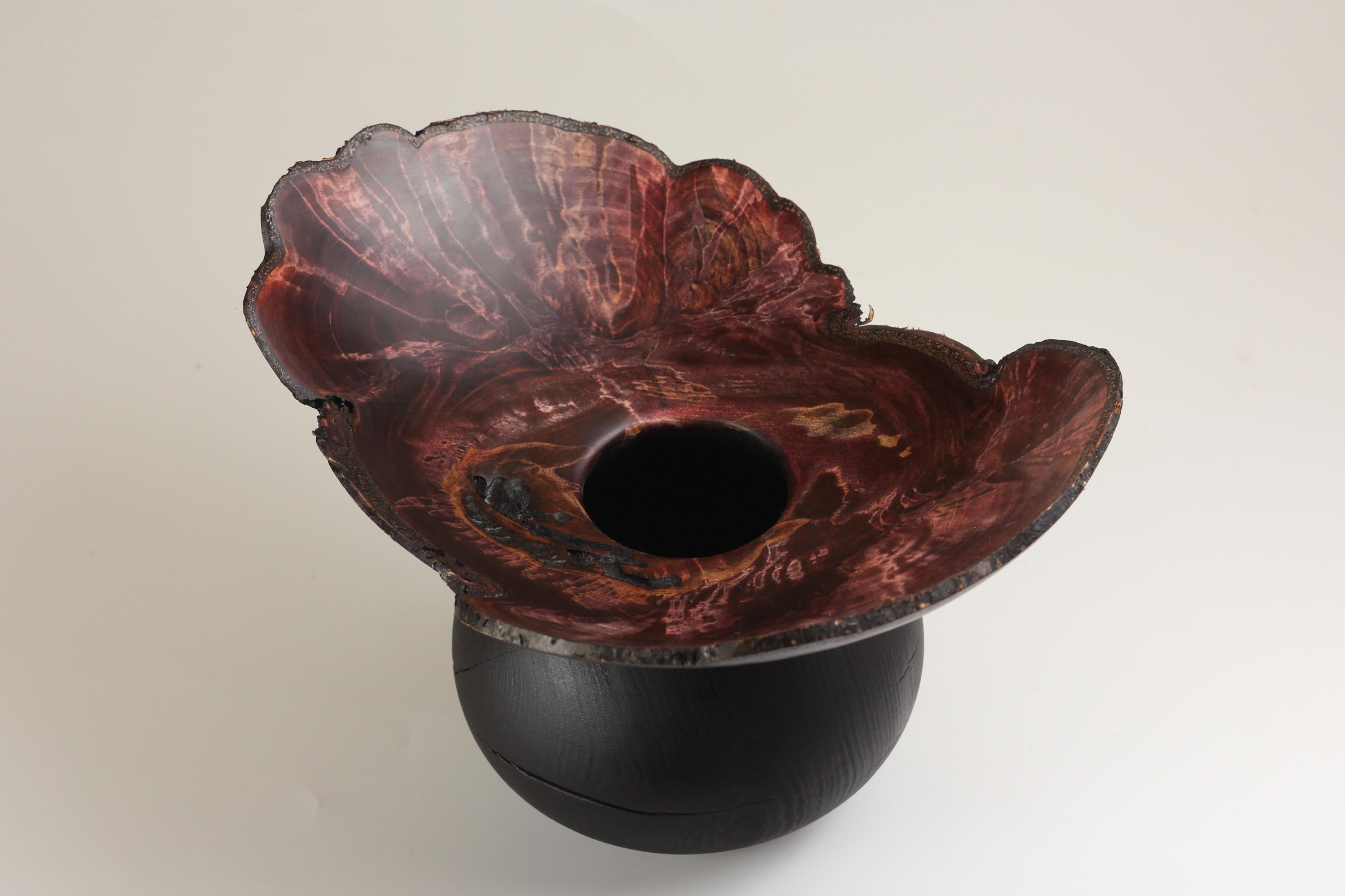 Unique Burl Bowl by Vlad Droz 3