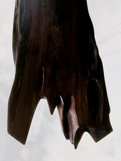 Einzigartige Caviuna Visceral Bench von Gustavo Dias