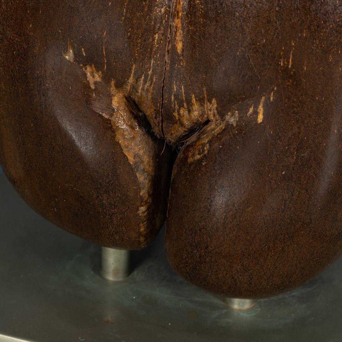 Unique Coco-De-Mer Nut, Mounted by Anthony Redmile, London, circa 1970 4