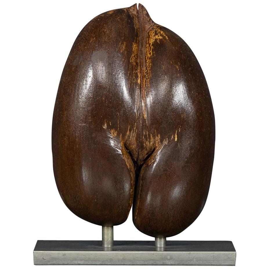 Unique Coco-De-Mer Nut, Mounted by Anthony Redmile, London, circa 1970
