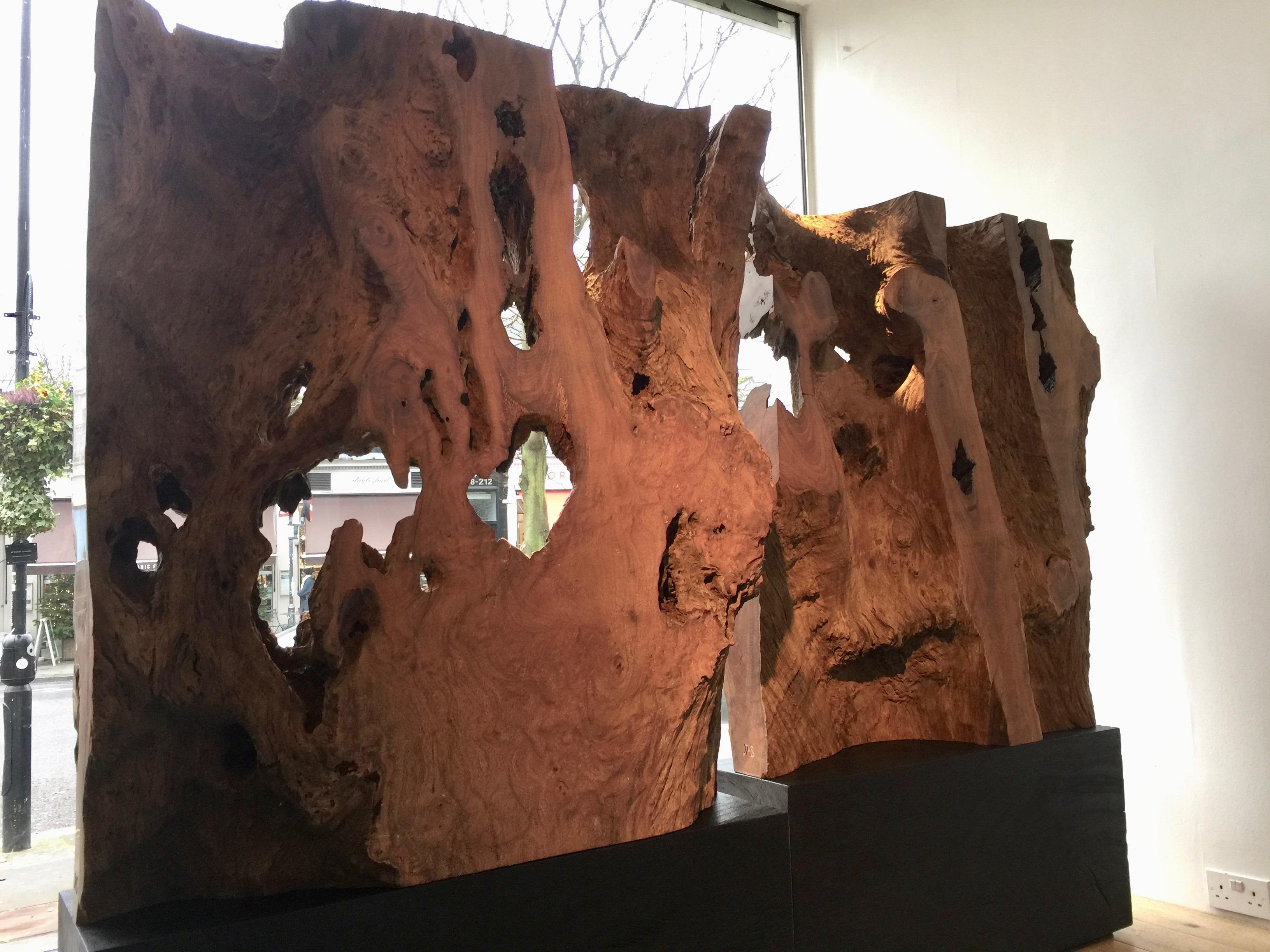 Wood Unique Contemporary 'Diptych' Sculptures by Jerome Abel Seguin