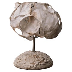 Papier Beleuchtung