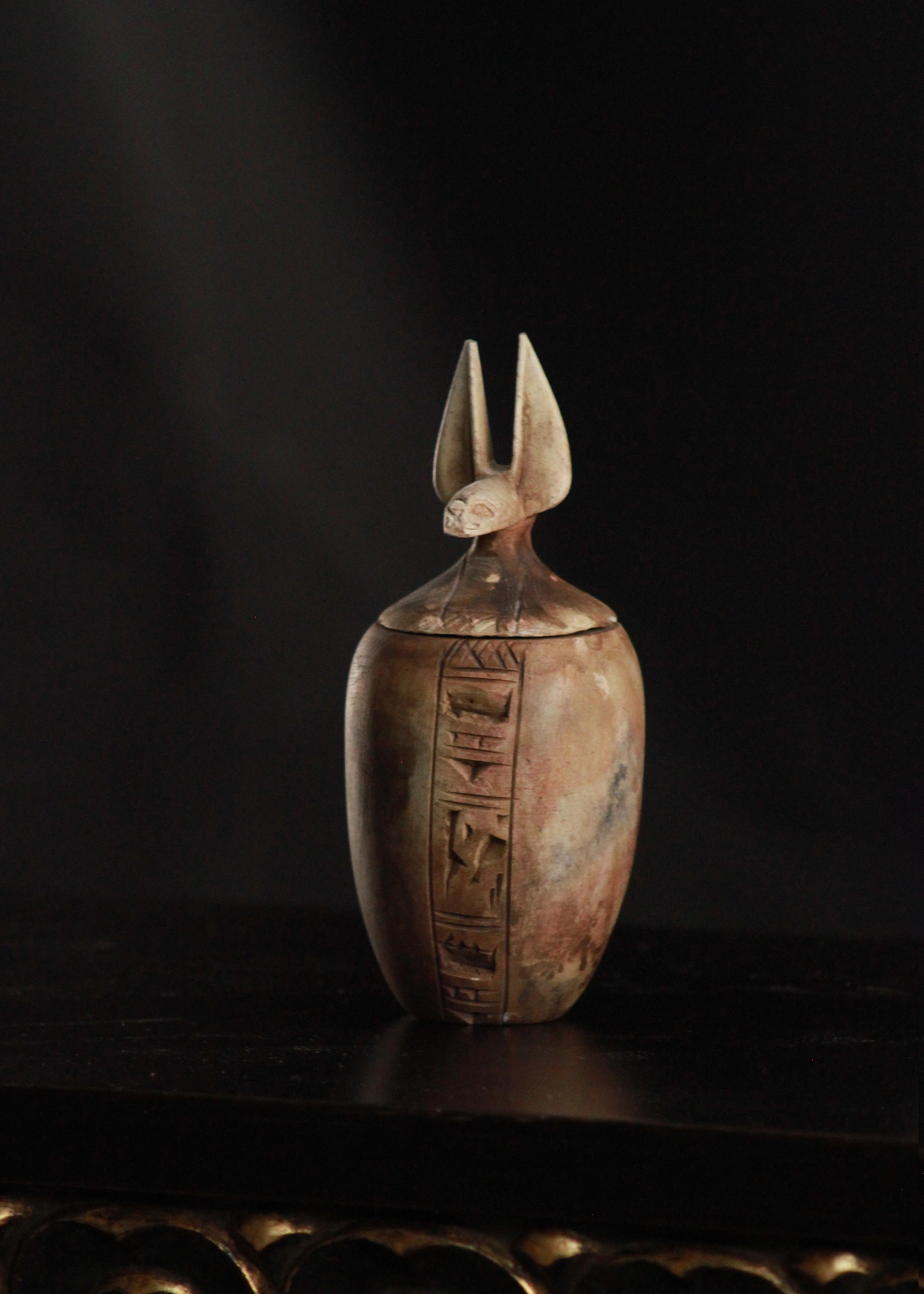 Questi quattro squisiti vasi canopi, meticolosamente realizzati in pietra calcarea, sono custodi di segreti e vie per l'eternità. Il loro scopo trascende i semplici vasi mortuari; sono dei canali tra i regni, quello terreno e quello divino.

Hapi,