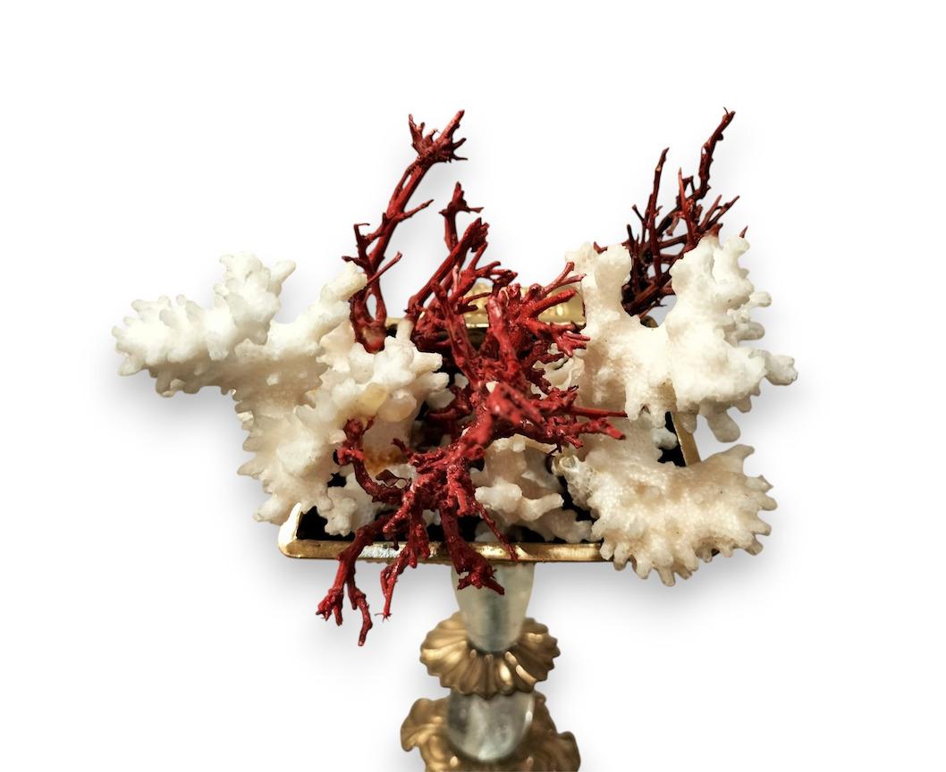 A work of art as much as a one-of-a-kind curiosity object, this extraordinary creation is made up of unusual, unique, antique and rare elements, projecting us into a dreamlike world and an imaginary world full of fantastic adventures. 

The artist