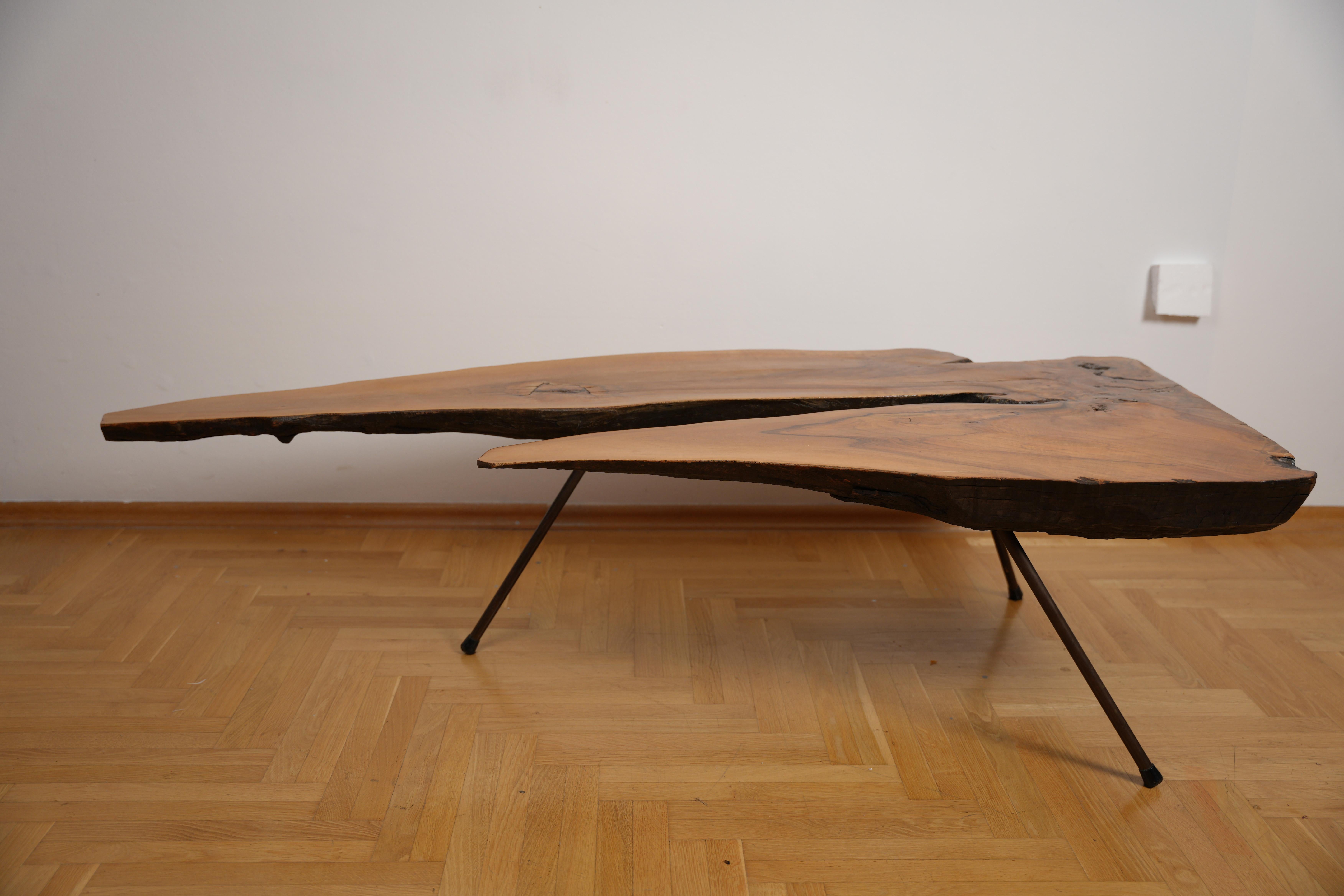 Carl Aubock Mahogany TreeTrunk Table No 21 Austria 1950s