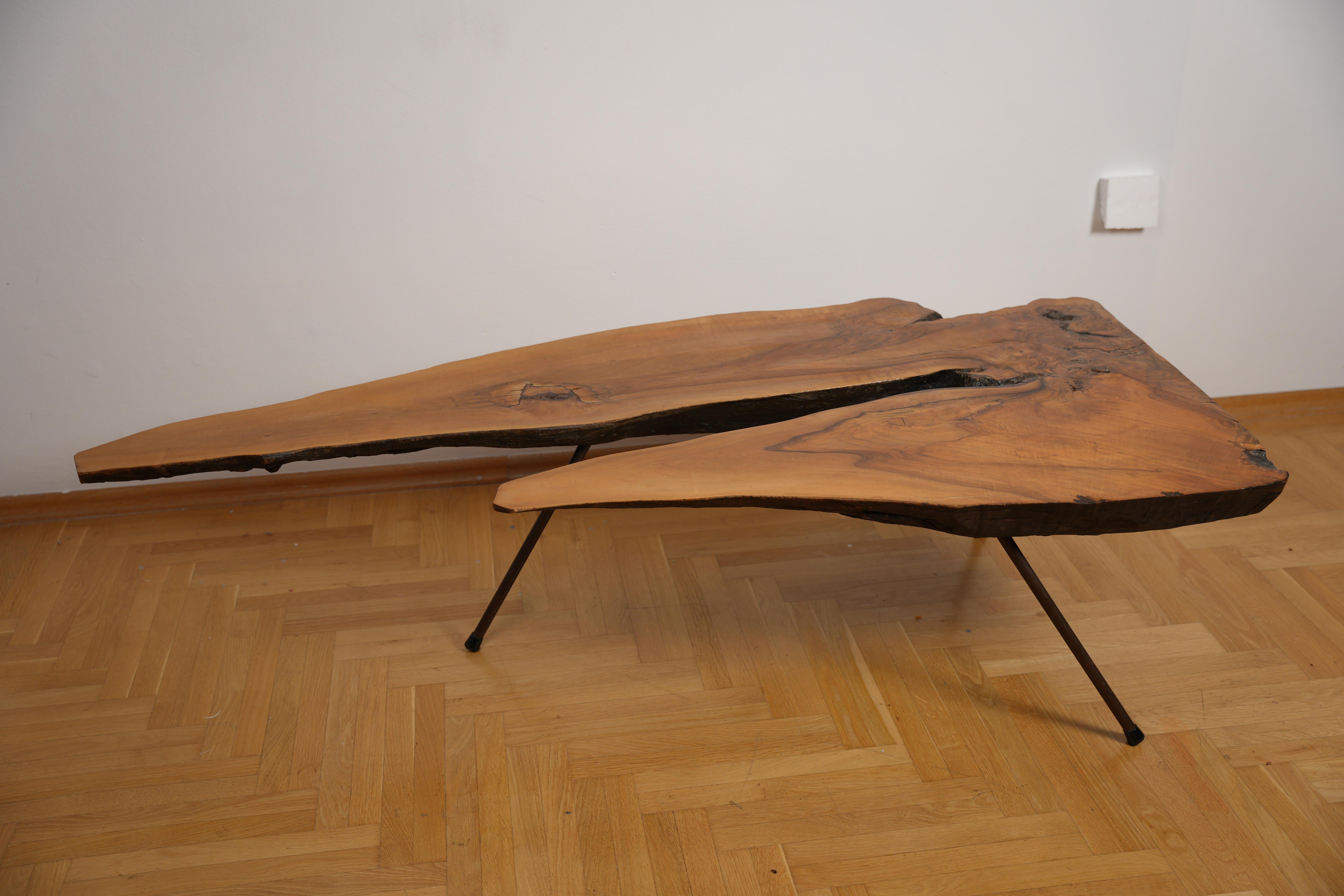 Brass Unique Extra Large Carl Auböck Mahogany Tree Trunk Table No.21 For Sale