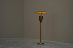 Unique Floor Lamp in Patinated Copper 1960s