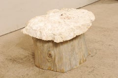 Unique Fossilized Coral Top Coffee Table on Wood Stump Base
