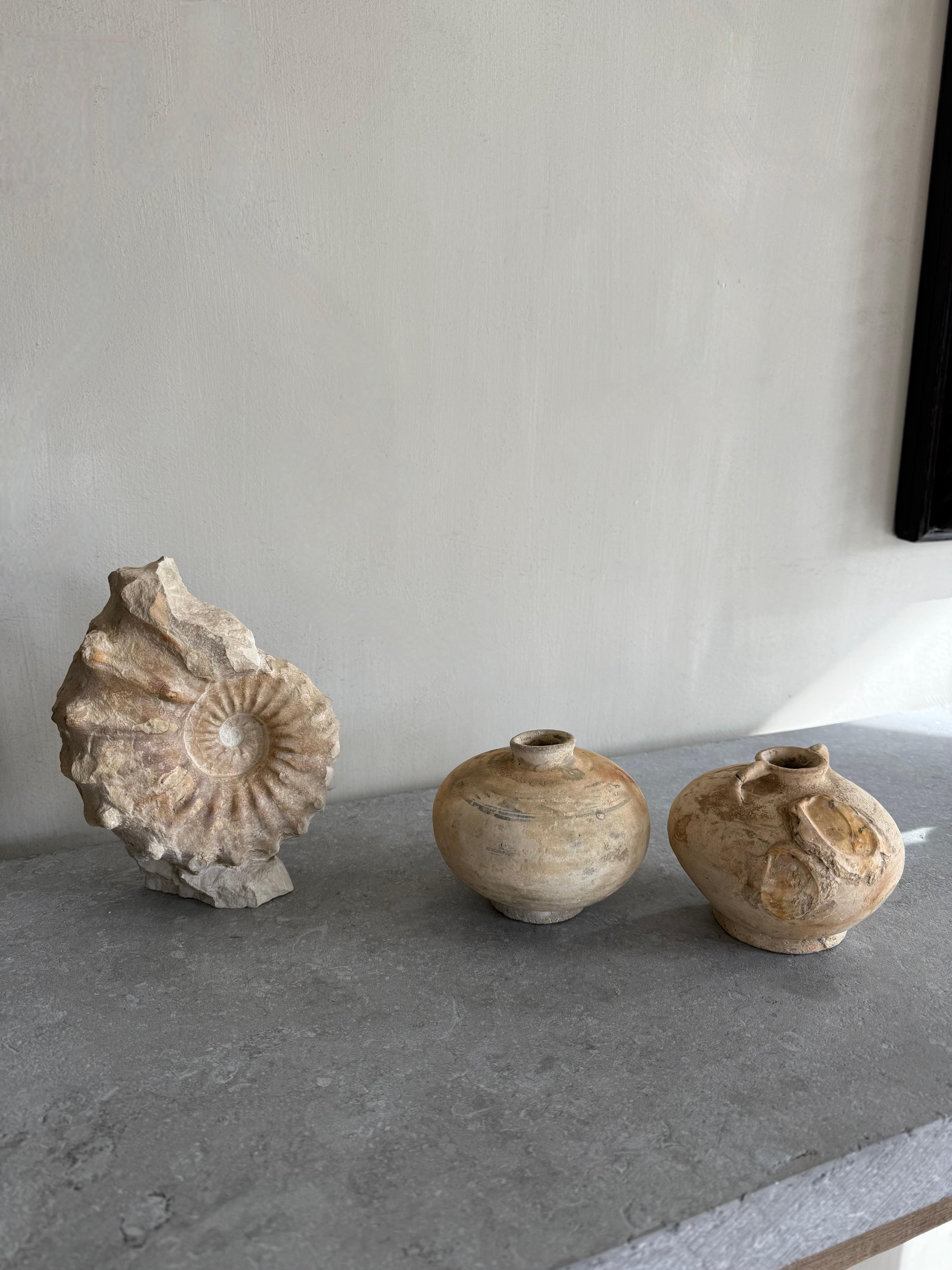 18th Century and Earlier Unique Free-standing Ammonite Fossil For Sale