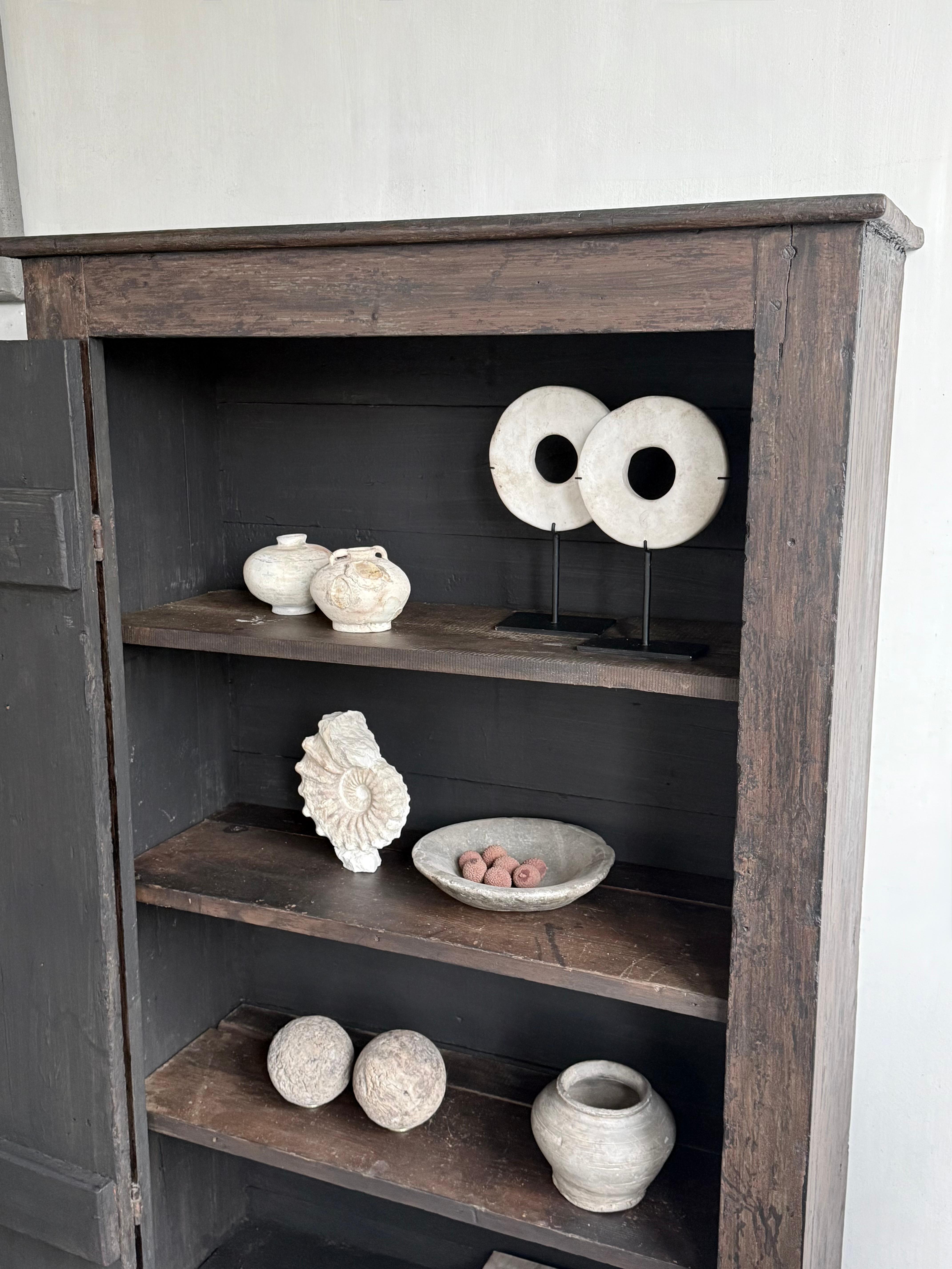 Stone Unique Free-standing Ammonite Fossil For Sale