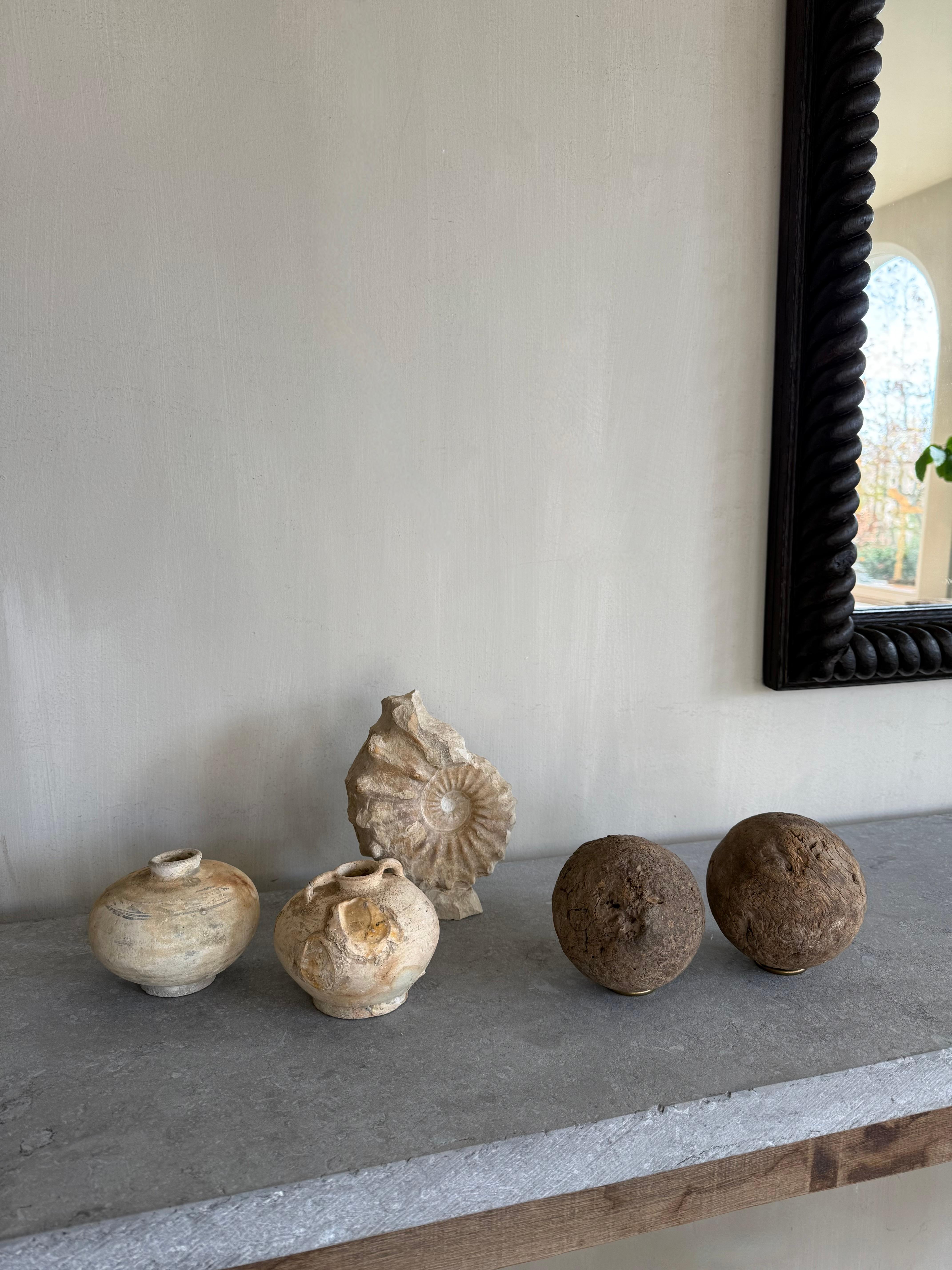 Unique Free-standing Ammonite Fossil For Sale 1