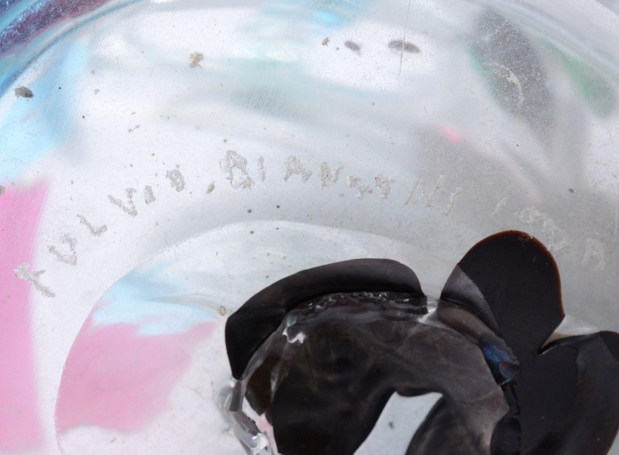 Unico vaso con manico di Fulvio Bianconi, 17 