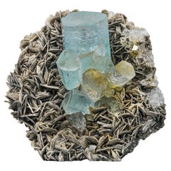 Unique Gem Specimen Aquamarine Crystal Cluster on Muscovite Matrix from Pakistan