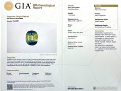 Unique GIA Certified Australian Parti Colour Sapphire 1.39ct Yellow Blue Oval