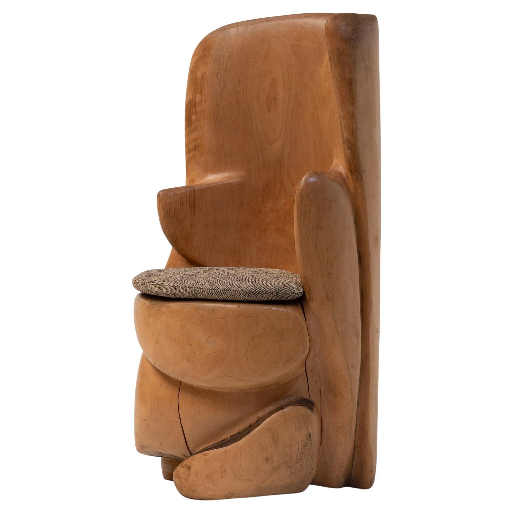 Unique Hand-Carved Sculptural Wooden Throne Chair, France 1970s
