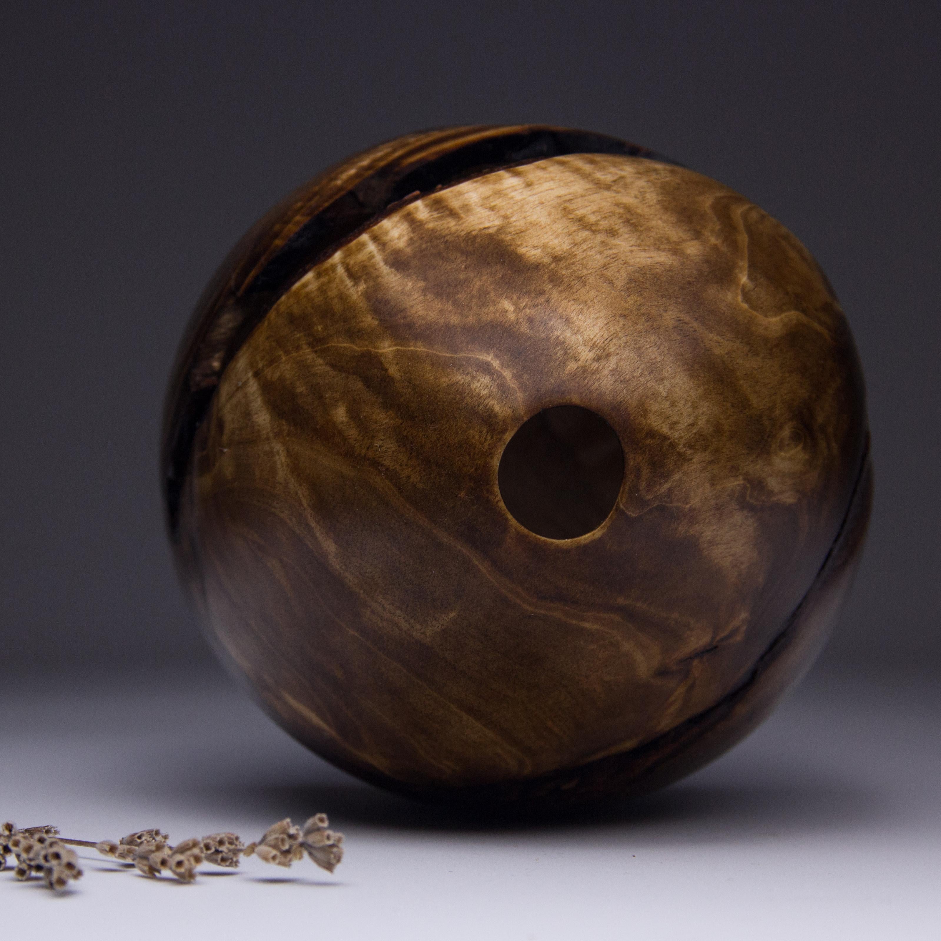 Modern Unique Hand Sculpted Wooden Vase by Vlad Droz