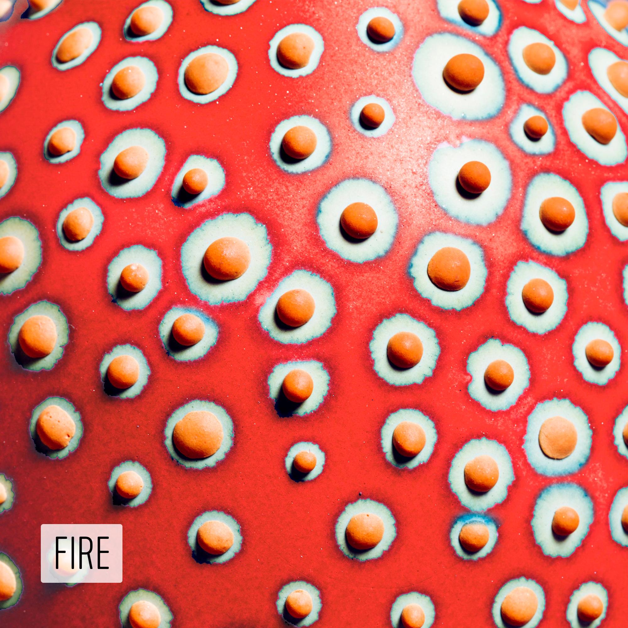 Il sorprendente e unico vaso Hesse in rosso fuoco è realizzato a mano dall'artista Elyse Graham nel suo studio in Oregon.

Questa collezione di vasi è ispirata al nostro incredibile e diversificato microbioma.

L'artista è nota per la sua