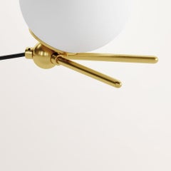 Unique Handmade Alycon Lamp by Gobo Lights