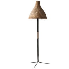 Unique Hungarian Modernist Iron and Wicker Floor Lamp, 1950s