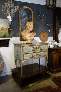 Unique Italian 18th Century Hand Painted Louis XV Commode Cassone Marchigiano