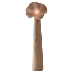 Floor Lamps