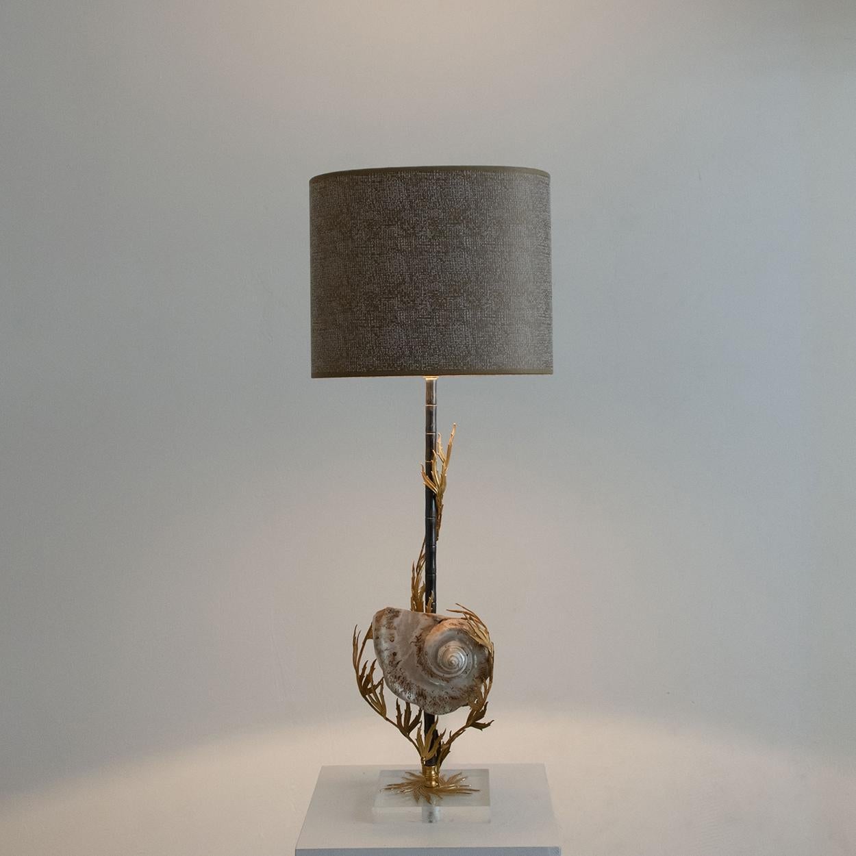 20th Century Unique Large Shell Table Lamp with Brass Details For Sale