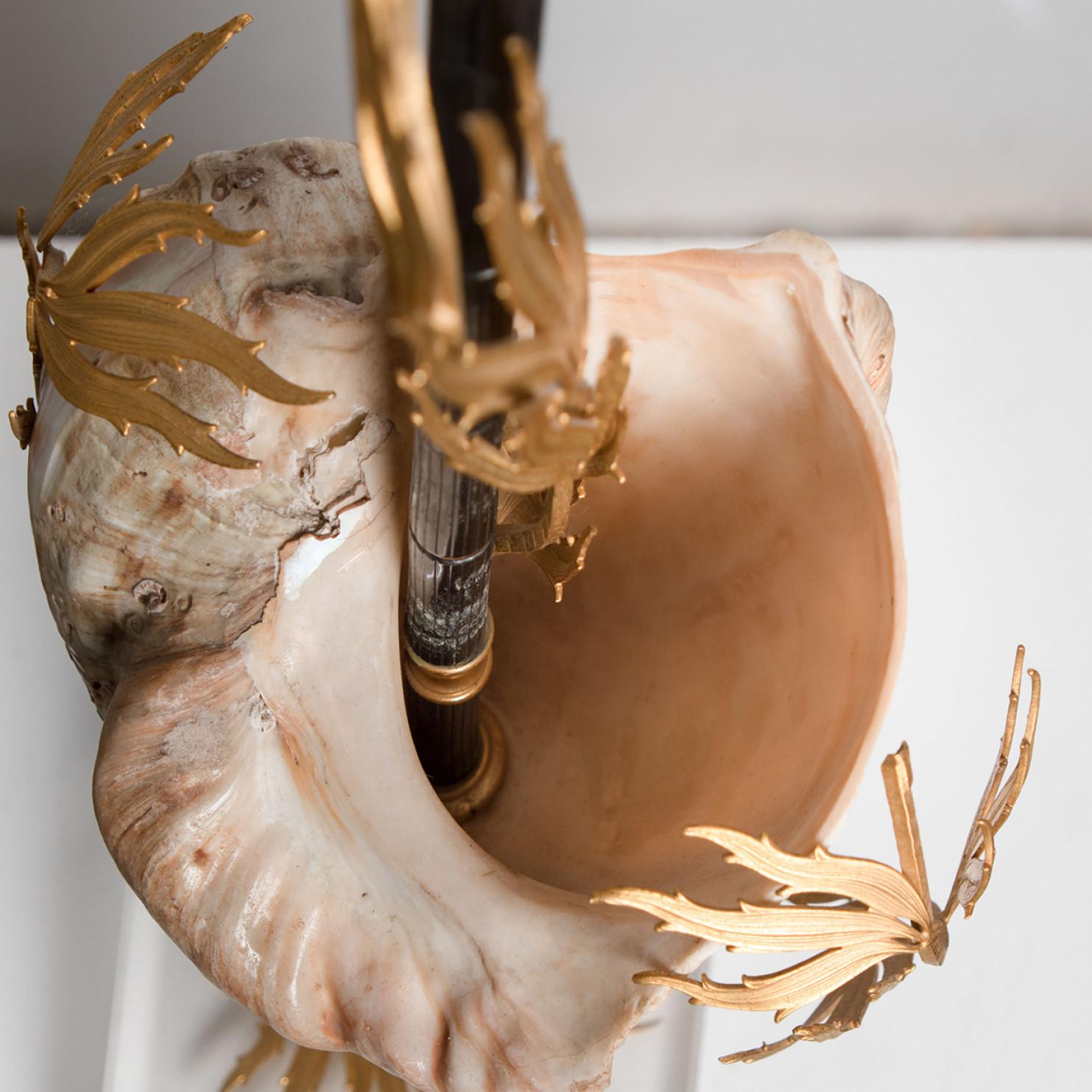 Other Unique Large Shell Table Lamp with Brass Details For Sale