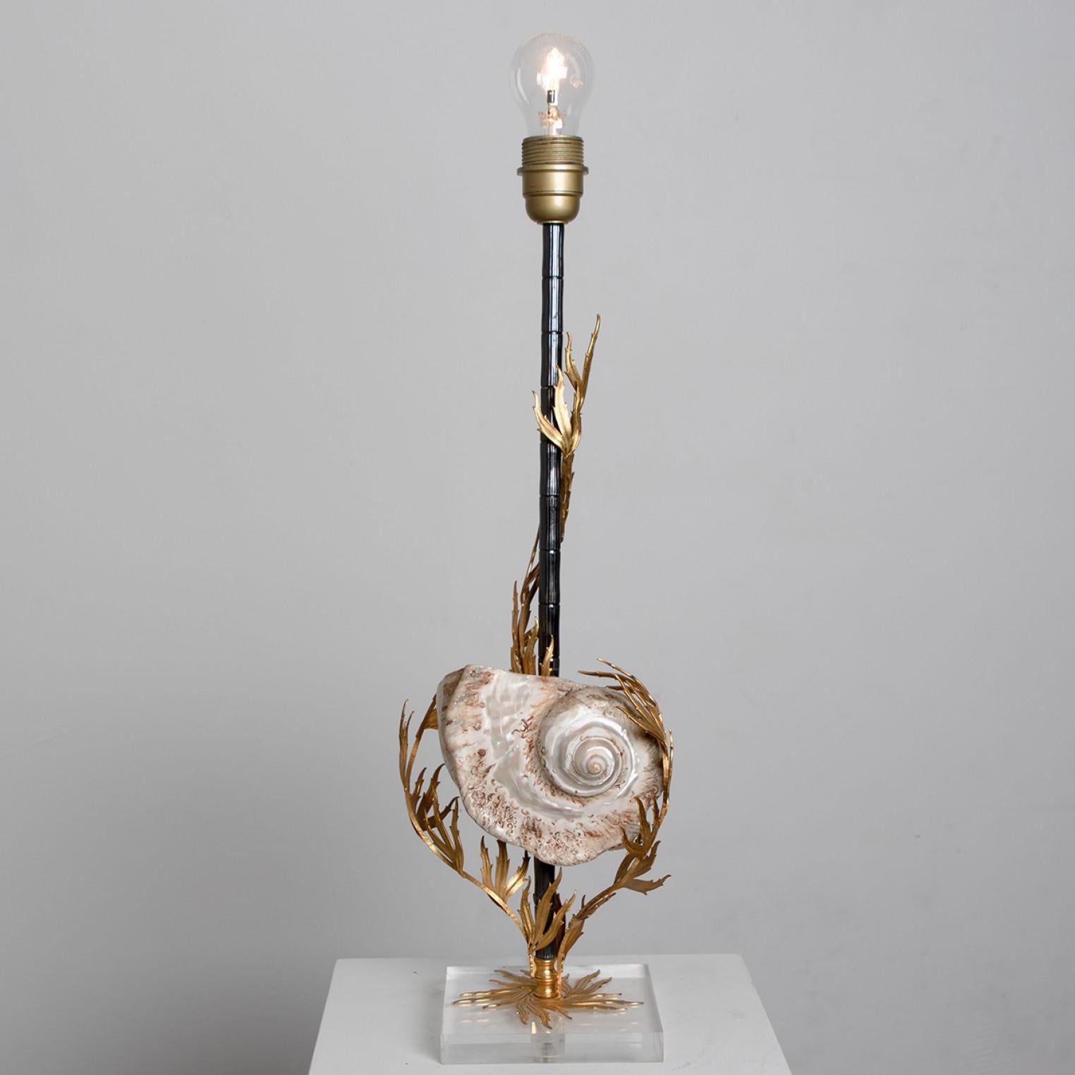 20th Century Unique Large Shell Table Lamp with Brass Details For Sale