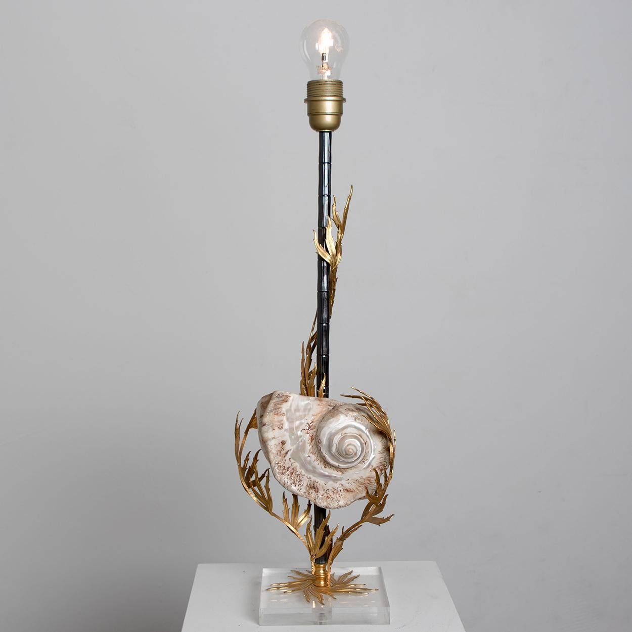 Other Unique Large Shell Table Lamp with Brass Details For Sale