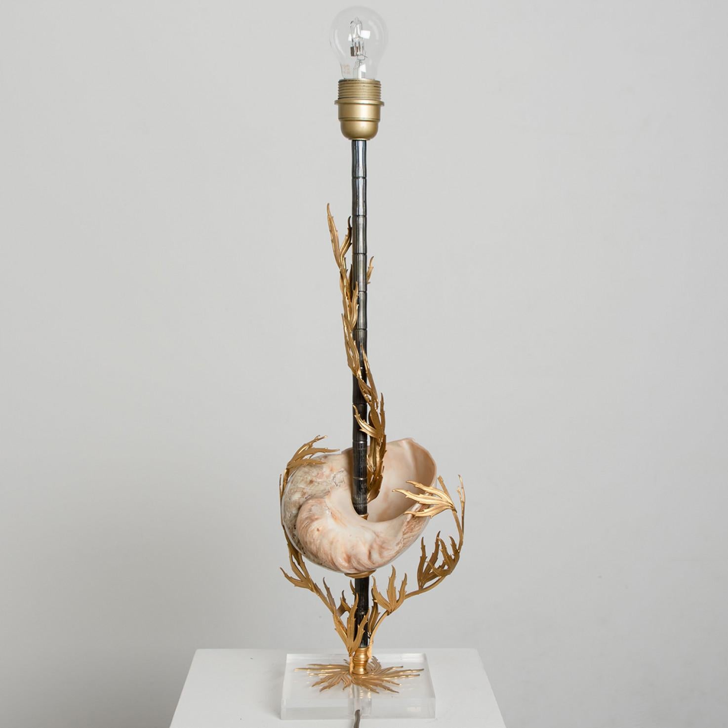 Unique Large Shell Table Lamp with Brass Details For Sale 1