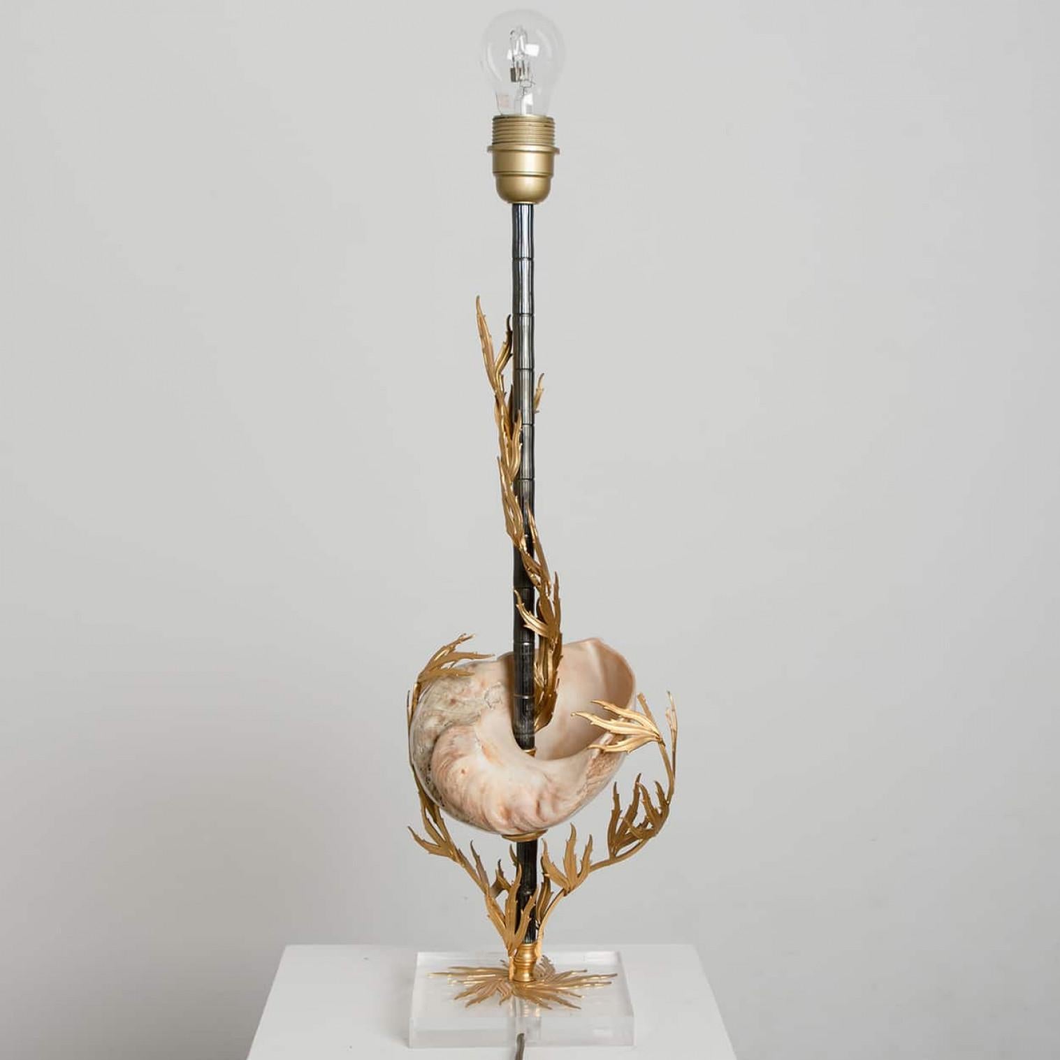 Unique Large Shell Table Lamp with Brass Details For Sale 1