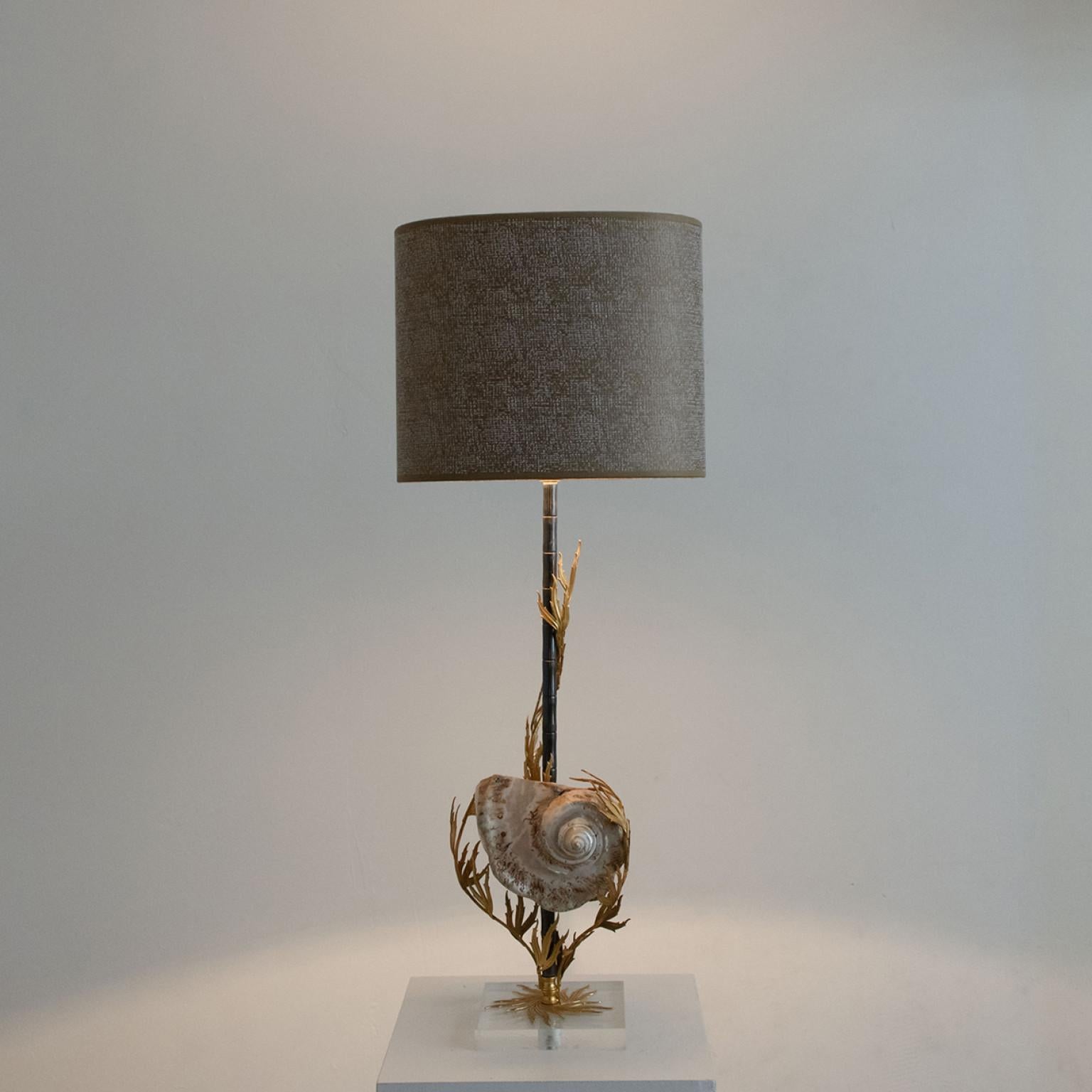 Unique Large Shell Table Lamp with Brass Details For Sale 2