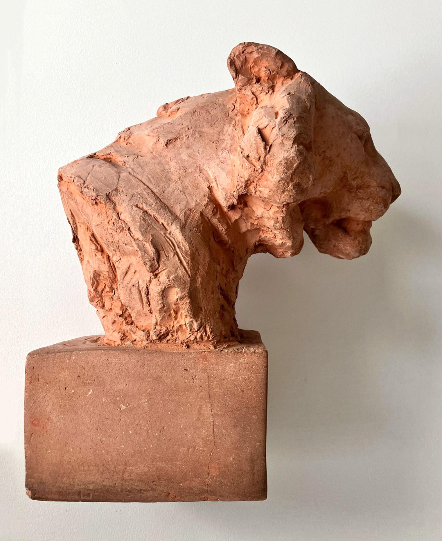 Greco-romano Testa di Leone in terracotta di Cocry, unica nel suo genere. in vendita