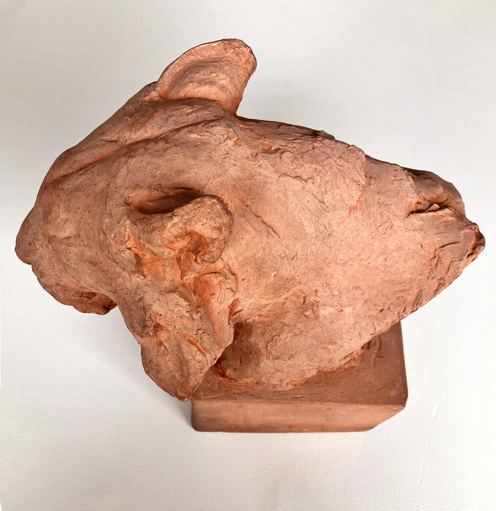 Tête unique de lion en terre cuite de Cocry. en vente 1