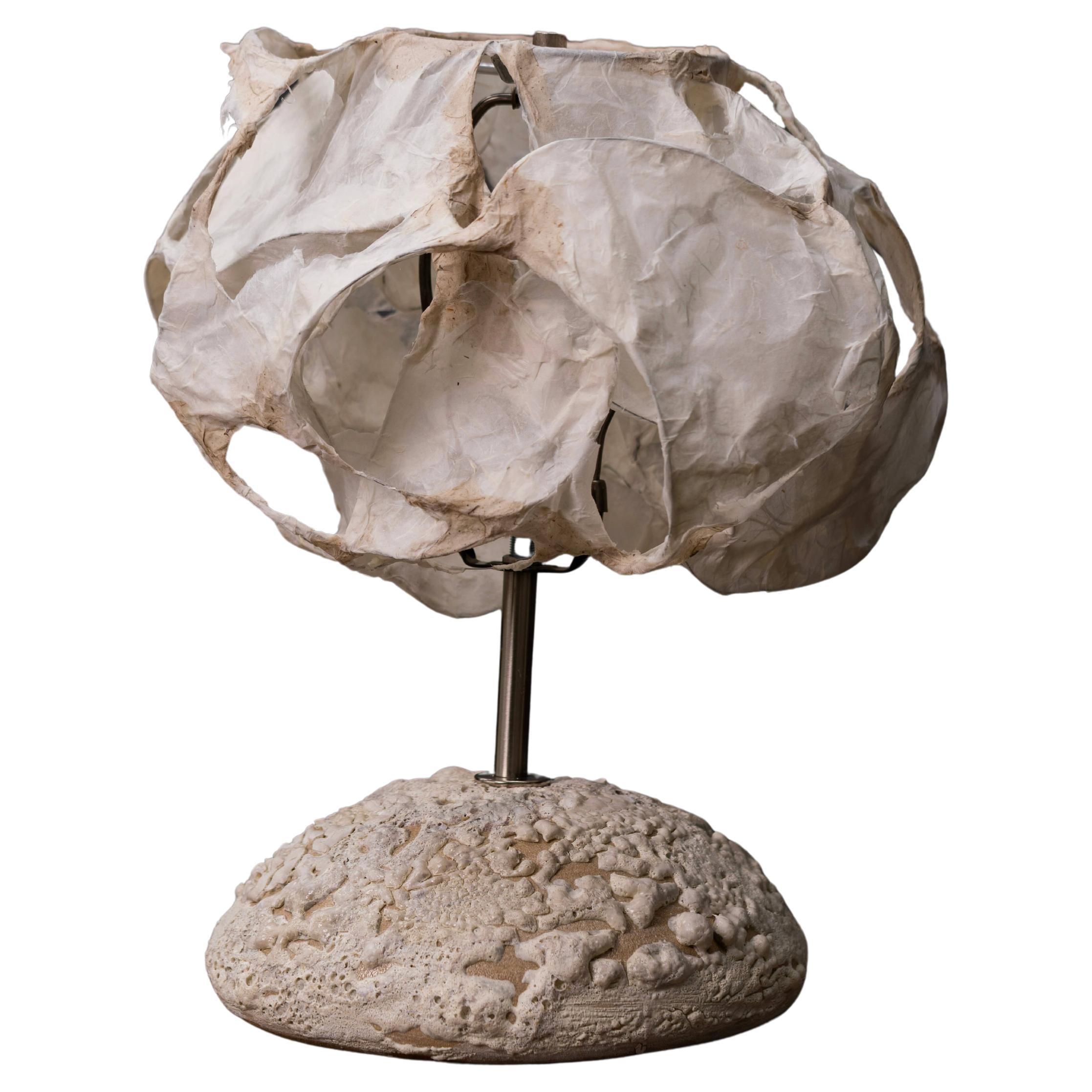 Unique Luminaries N5 Sculptural Table Lamp by Maria Loram