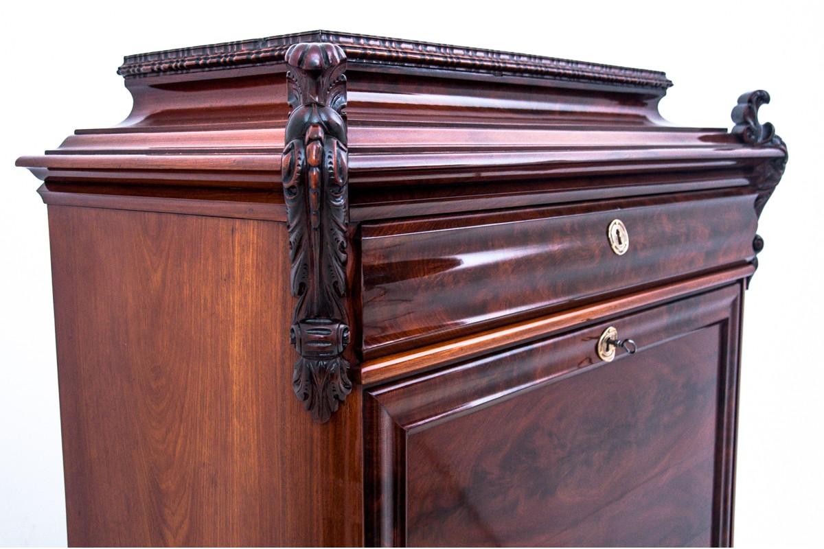 Unique Mahogany Antique Secretary Desk, Northern Europe, circa 1860 For Sale 1