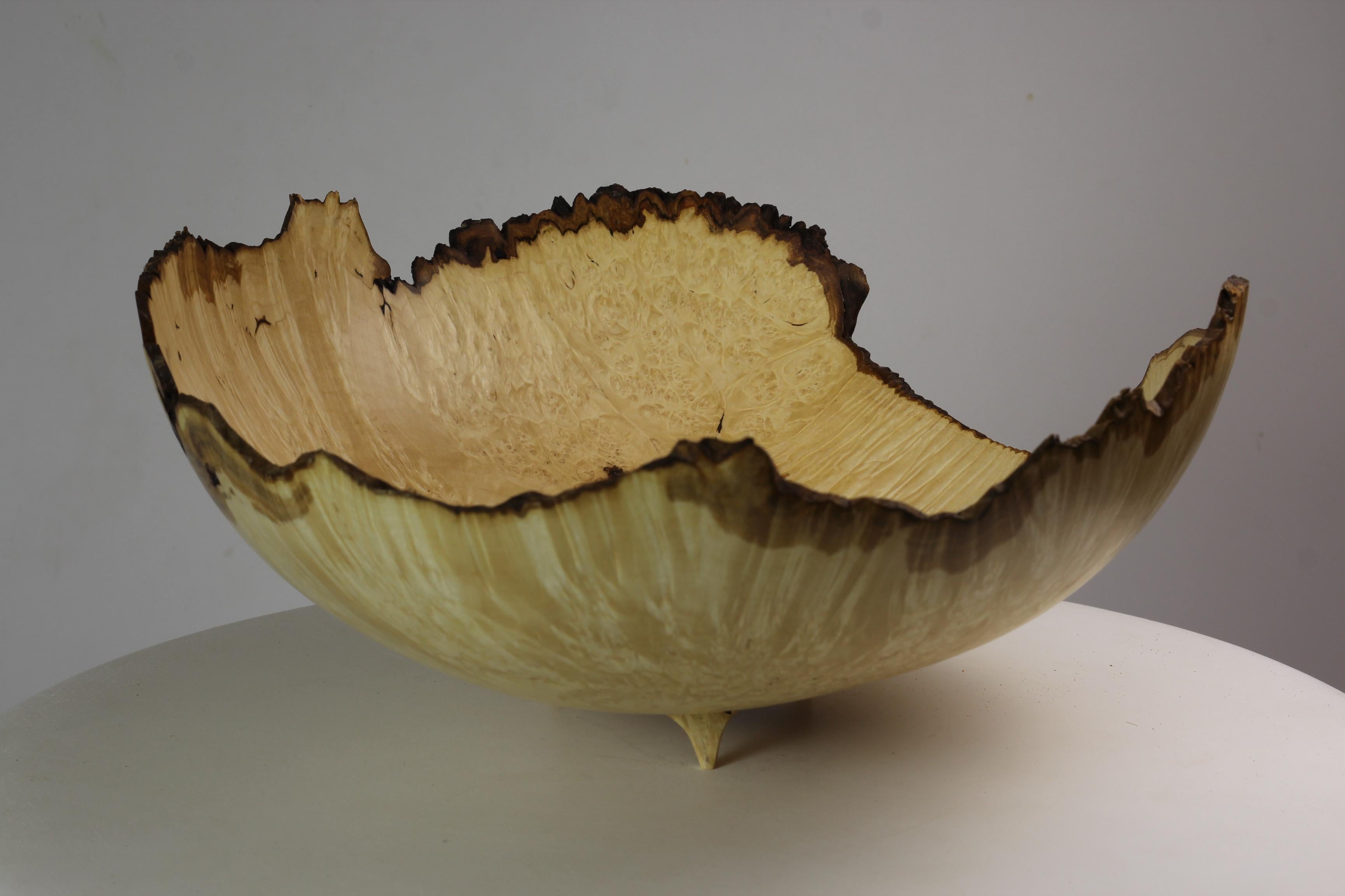 Unique Maple Burl Bowl by Vlad Droz 4