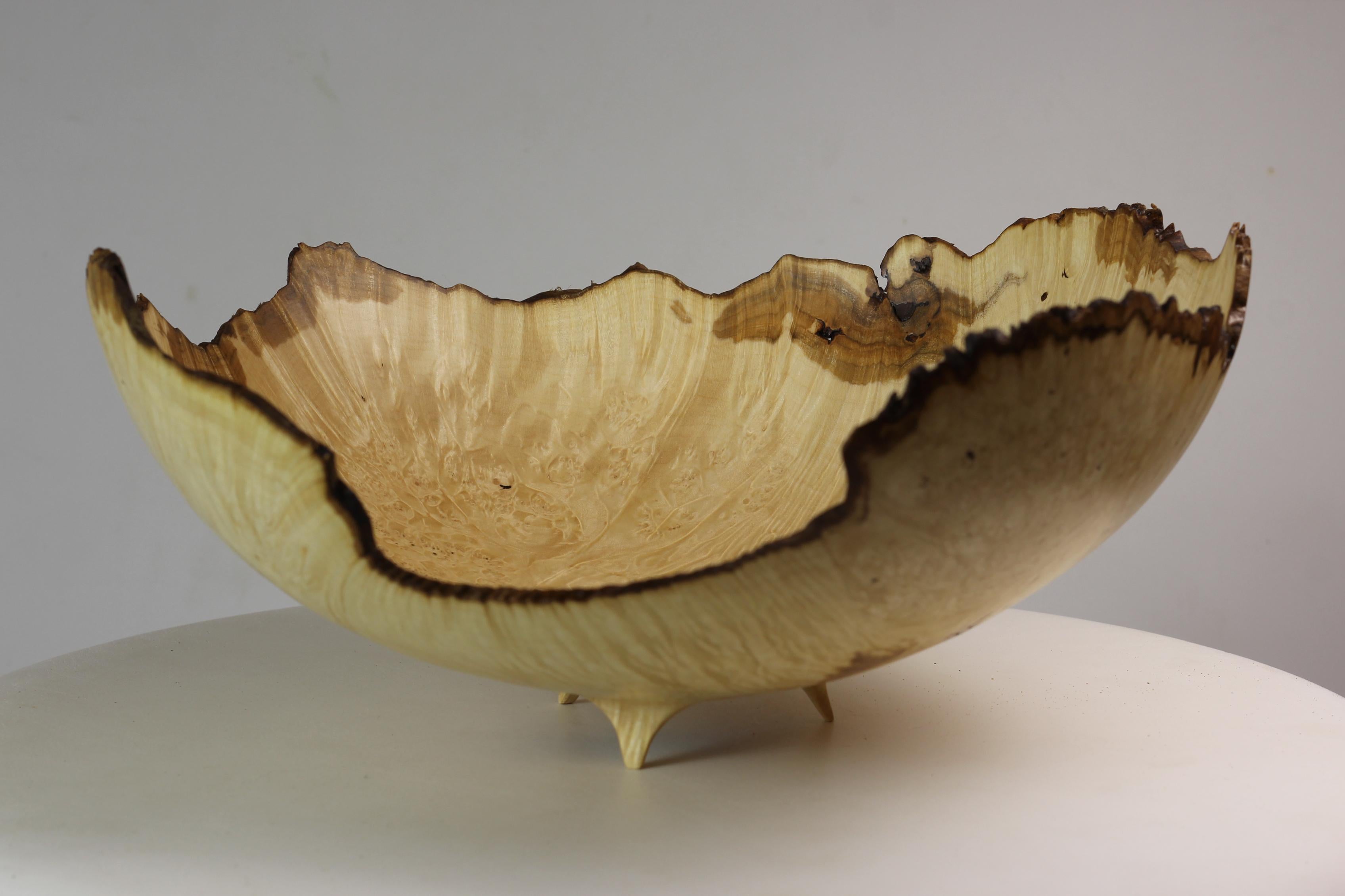 Post-Modern Unique Maple Burl Bowl by Vlad Droz