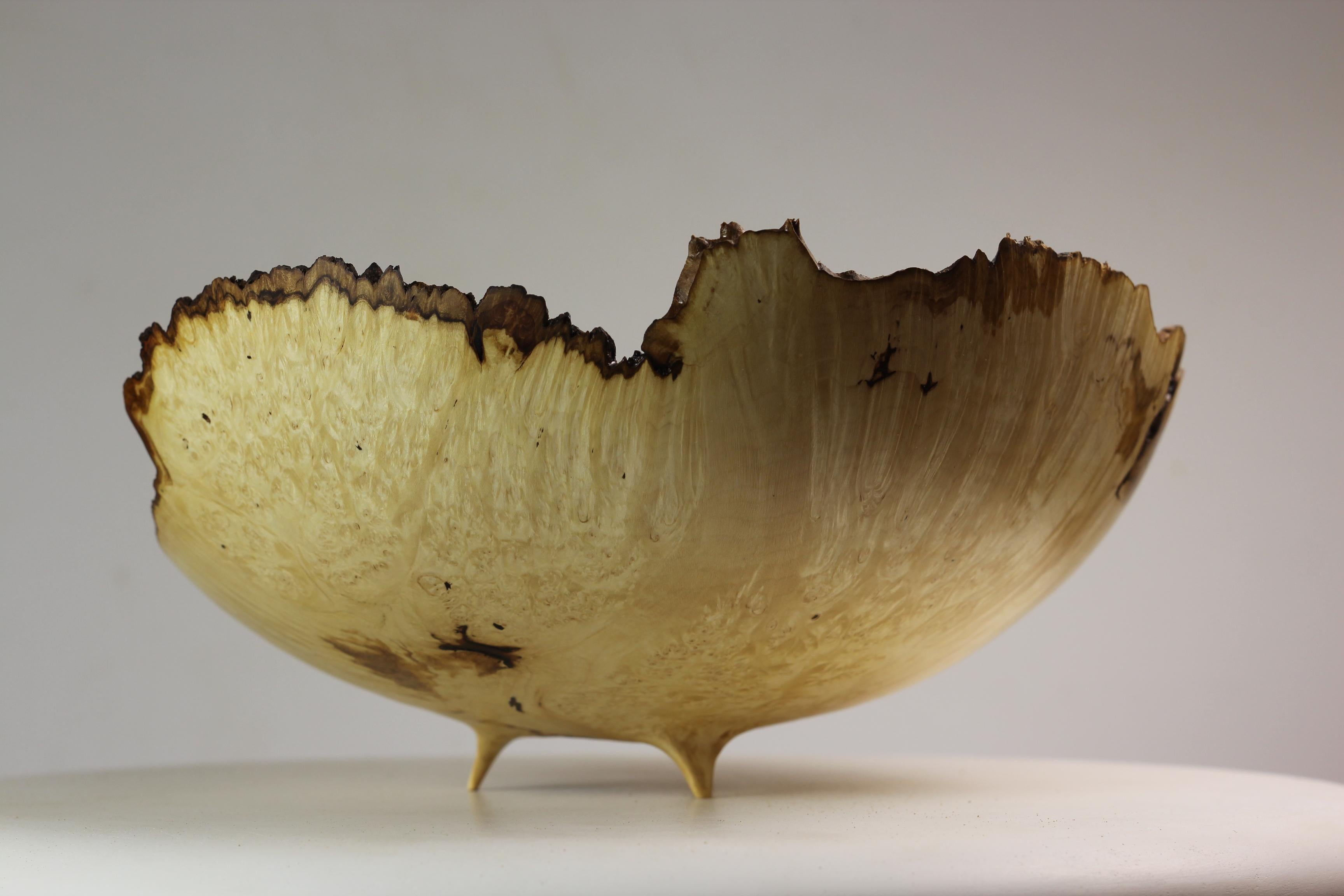 Russian Unique Maple Burl Bowl by Vlad Droz