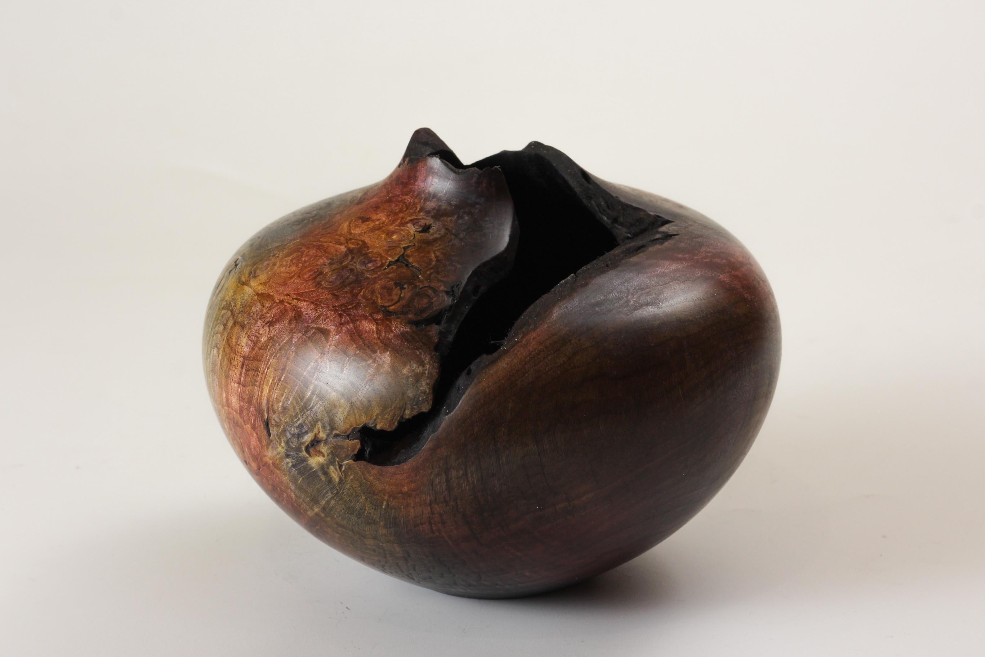 Modern Unique Maple Vase by Vlad Droz