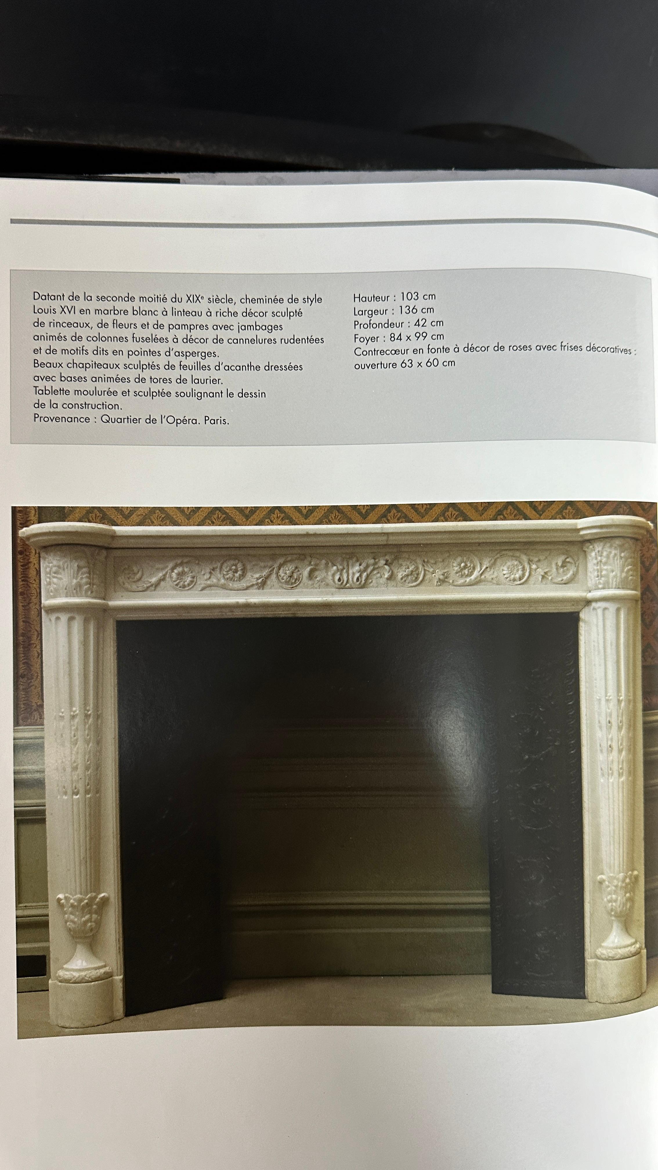 Unique Marble French Louis XVI Fireplace from the Opéra Garnier Paris For Sale 9