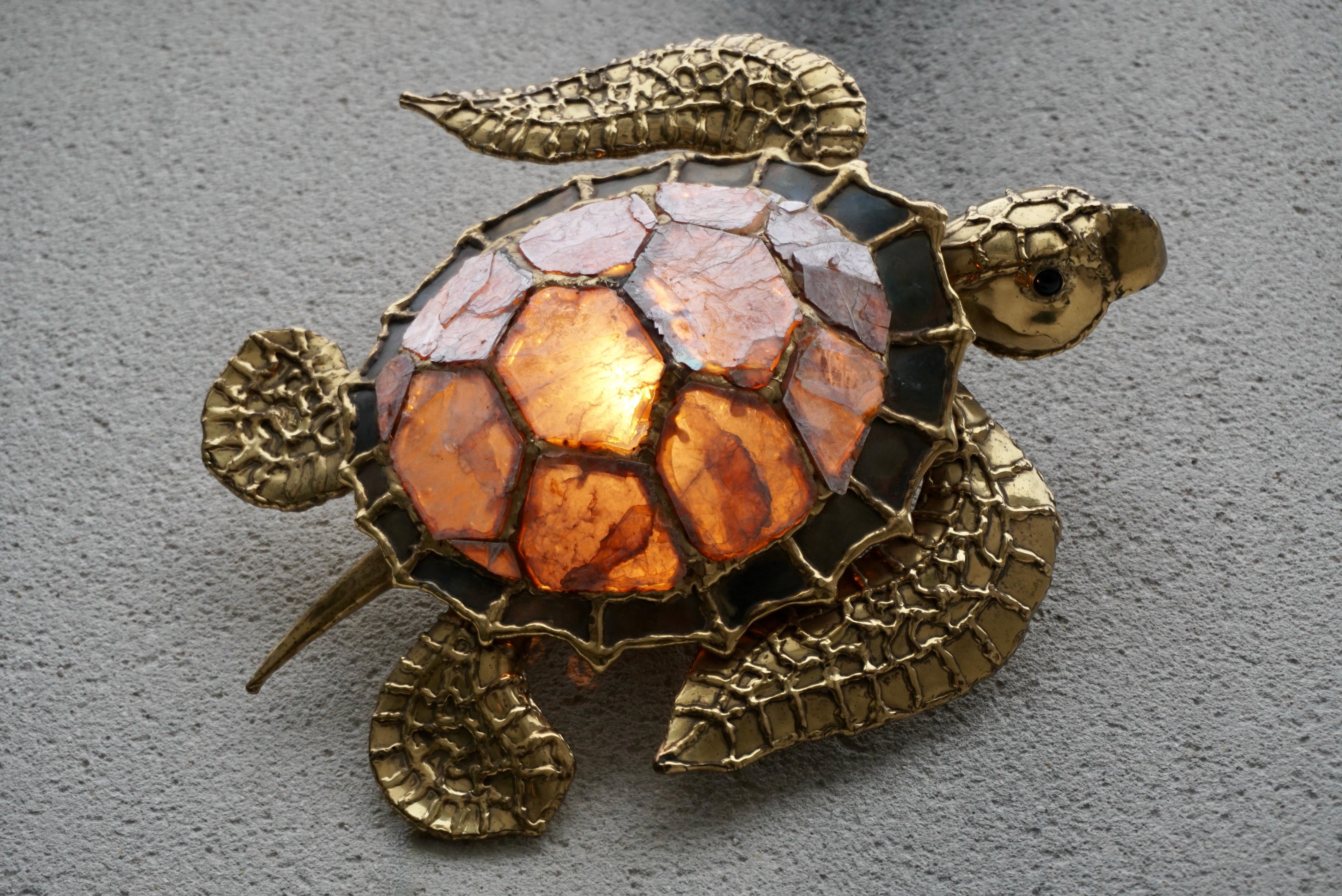 Lampada da parete a forma di tartaruga in ottone e madreperla, unica nel suo genere, della metà del secolo scorso

Questa straordinaria lampada da parete a forma di tartaruga è un vero e proprio pezzo forte per ogni amante degli interni. Realizzata
